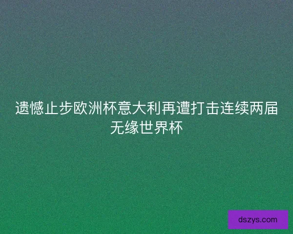 遗憾止步欧洲杯意大利再遭打击连续两届无缘世界杯